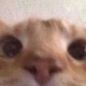 Meet your Posher, Lindsay